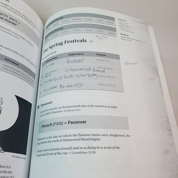 HaYesod The Foundation Student Workbook 9th Ed 2017, Boaz Michael - Ch 8-10 USED - Picture 10 of 13